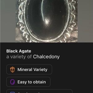 Black Agate Silver plated pendant